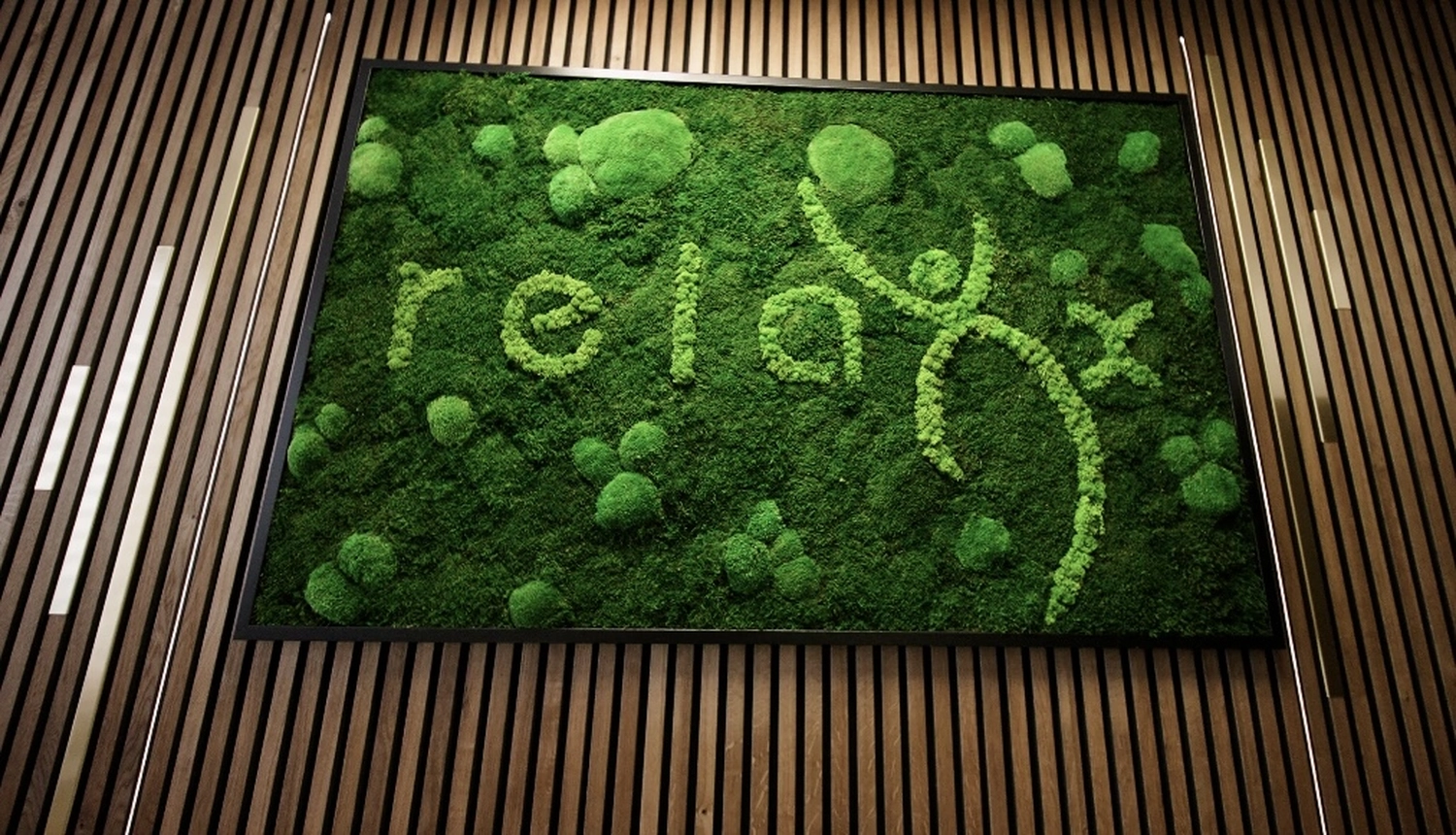 Relaxx Physiotherapie - Praxis for Physiotherapie - Relaxx-Logo auf einer Grastafel